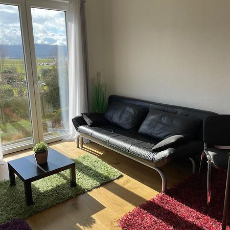 Feierabend Apartment Gottmadingen Bagian luar foto