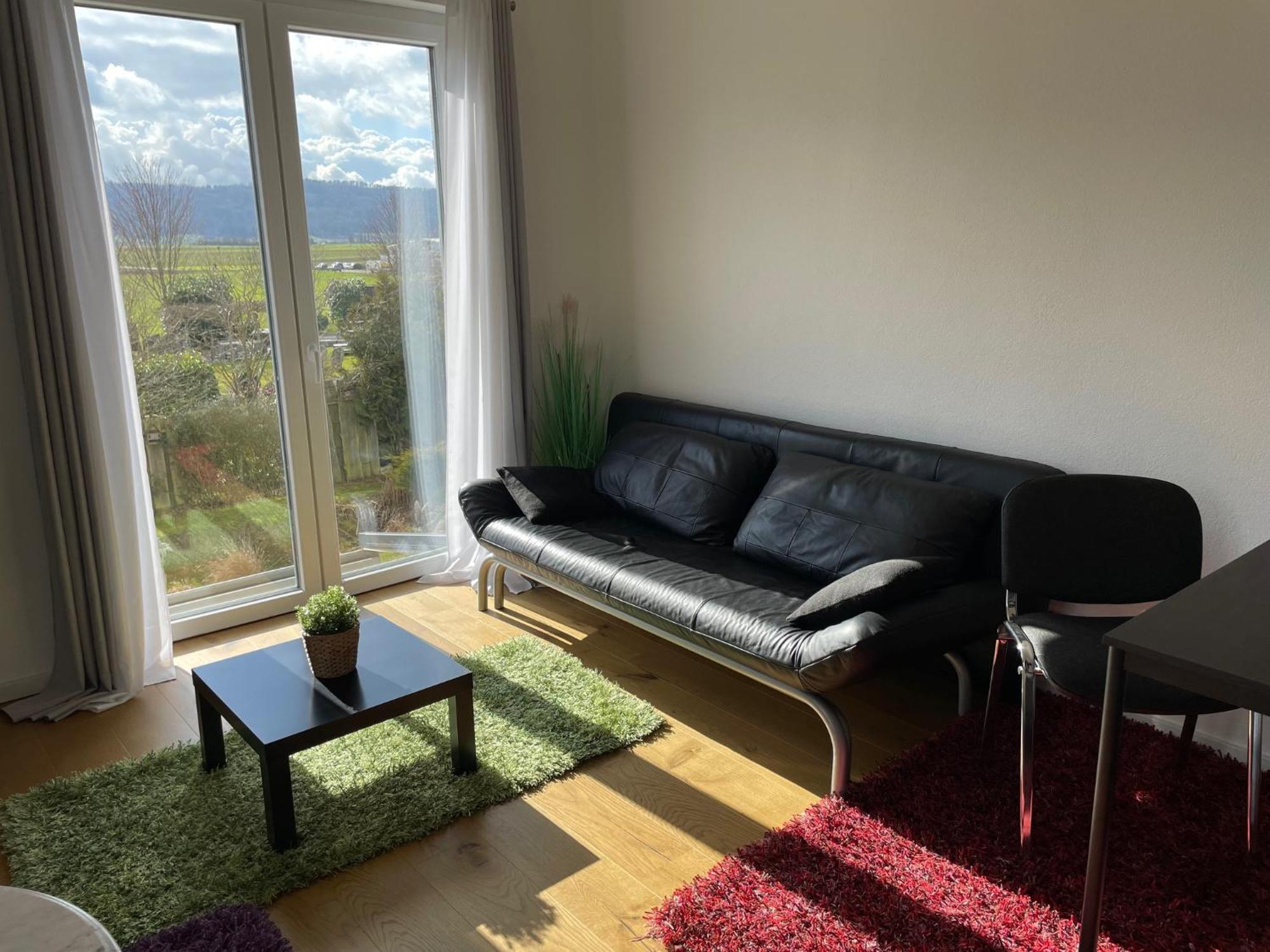 Feierabend Apartment Gottmadingen Bagian luar foto